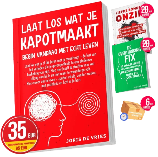 Laat los wat je kapotmaakt — boek